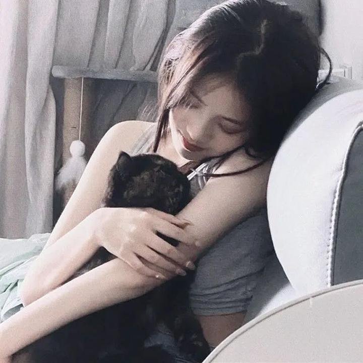 不要登出 在线观看