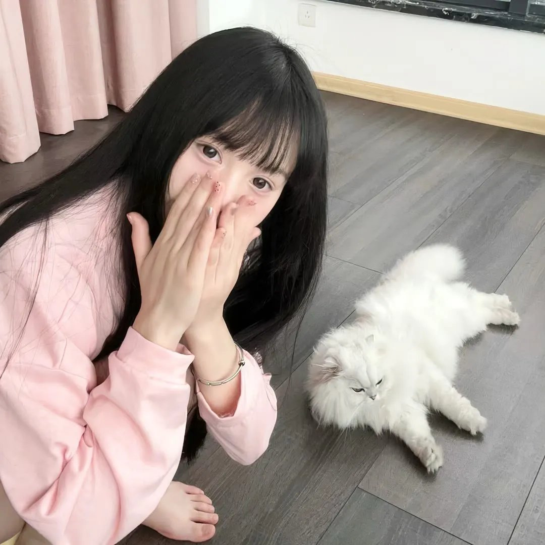 我的老板是小猪 在线观看